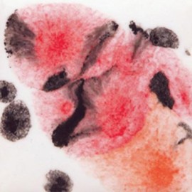 Poppy Fields - 4oz - Crystal Glaze